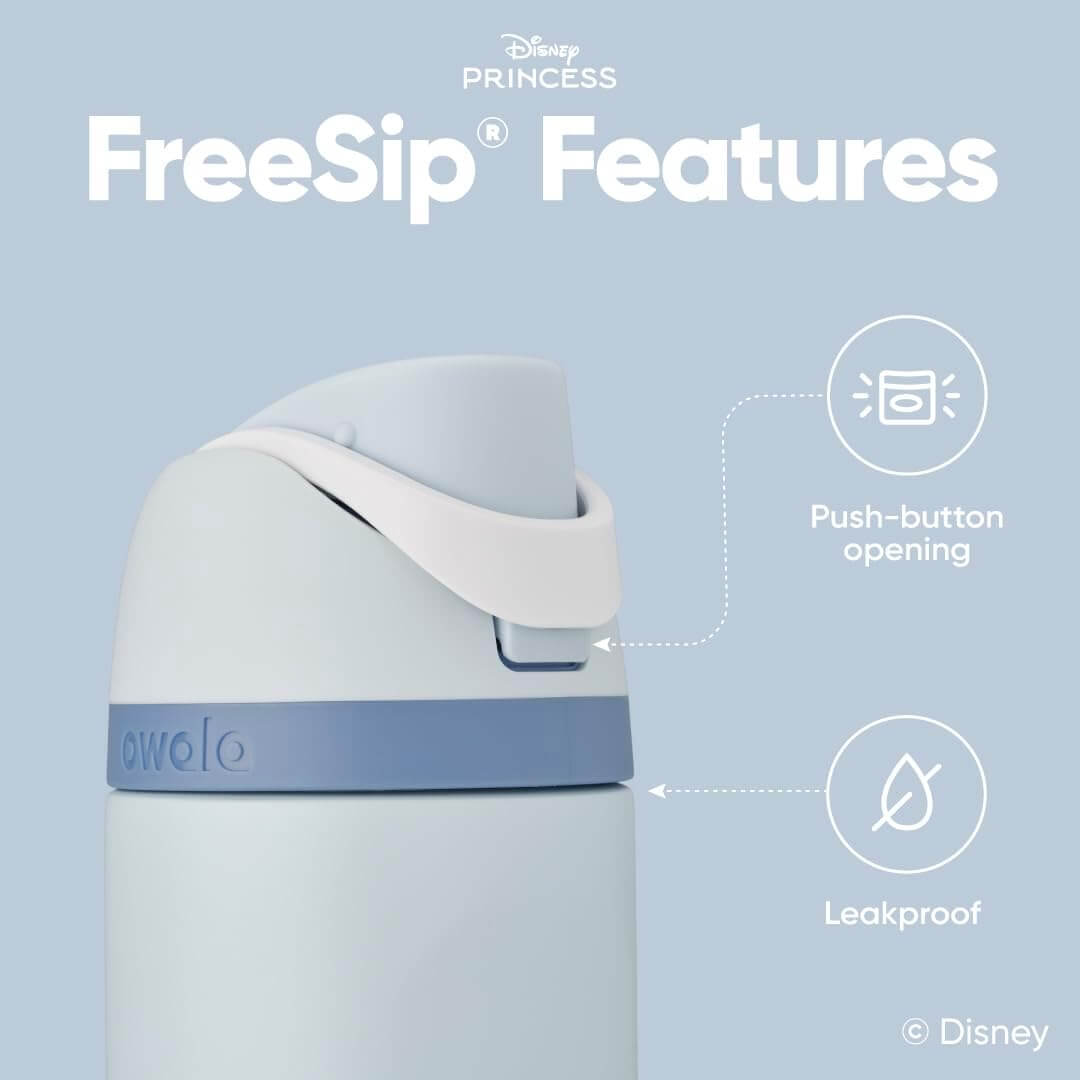 Garrafa Térmica Owala FreeSip - 710ml | 24oz