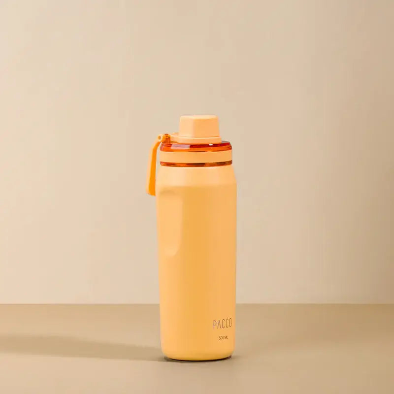 Garrafa Térmica PACCO Vyta 500ml
