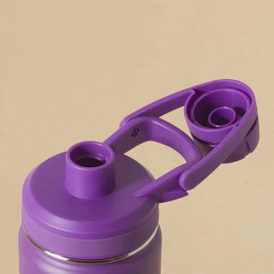 Garrafa Térmica PACCO Hydrav2 650ml com tampa roxa, design moderno e isolamento a vácuo para bebidas frias e quentes.