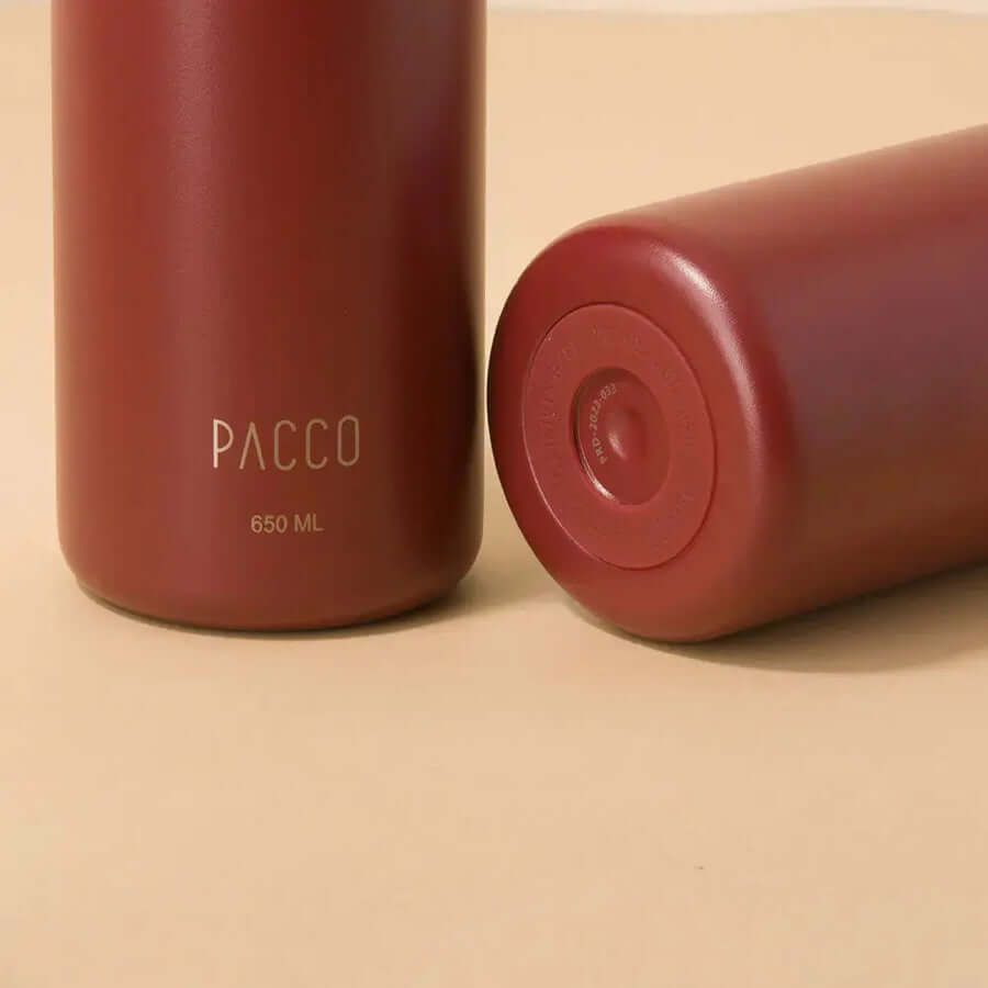 Garrafa Térmica PACCO Hydrav2 650ml