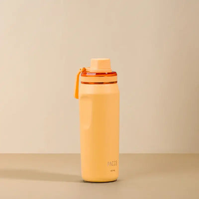Garrafa Térmica PACCO Vyta 500ml
