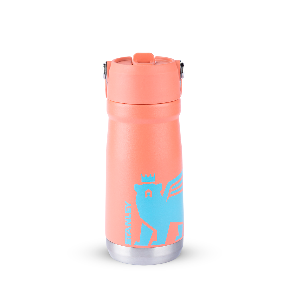 Garrafa Térmica Flip Straw Youth Stanley - 500ml